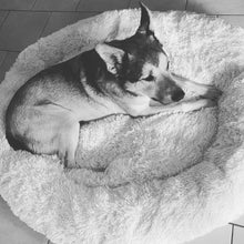 Load image into Gallery viewer, Anti Anxiety Pet Sofa Bed