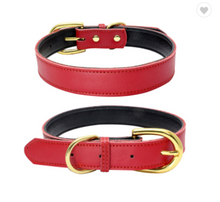 Load image into Gallery viewer, Leather Collars with Matching Leash
