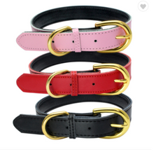 Load image into Gallery viewer, Leather Collars with Matching Leash
